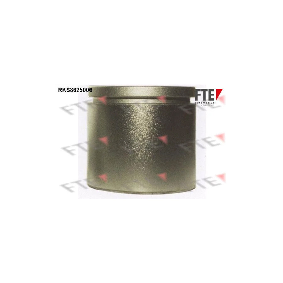 FTE Rks8625006 Piston, Brake Caliper