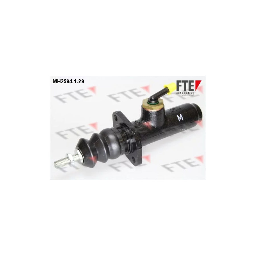 FTE 9722134 Brake Master Cylinder