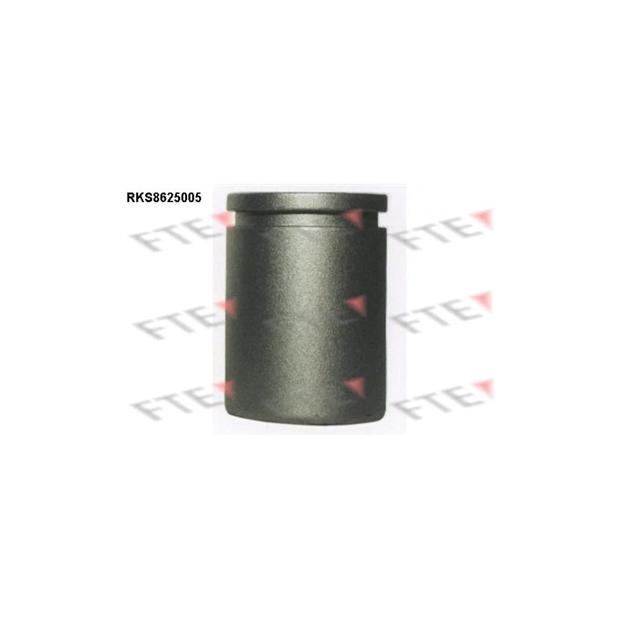 FTE Rks8625005 Piston, Brake Caliper for Ford Transit