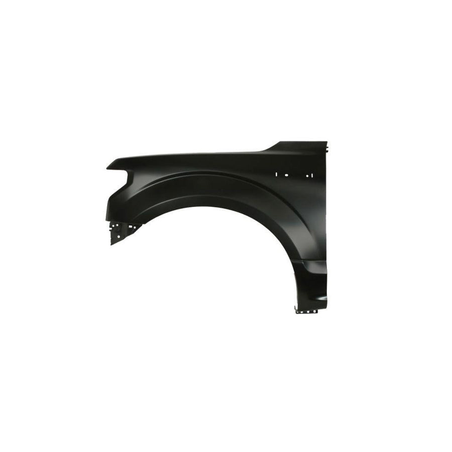 Blic 6504-04-2593311Ap Wing Fender for Ford USA F-150 Mk13 (P552) Standard Cab Pickup