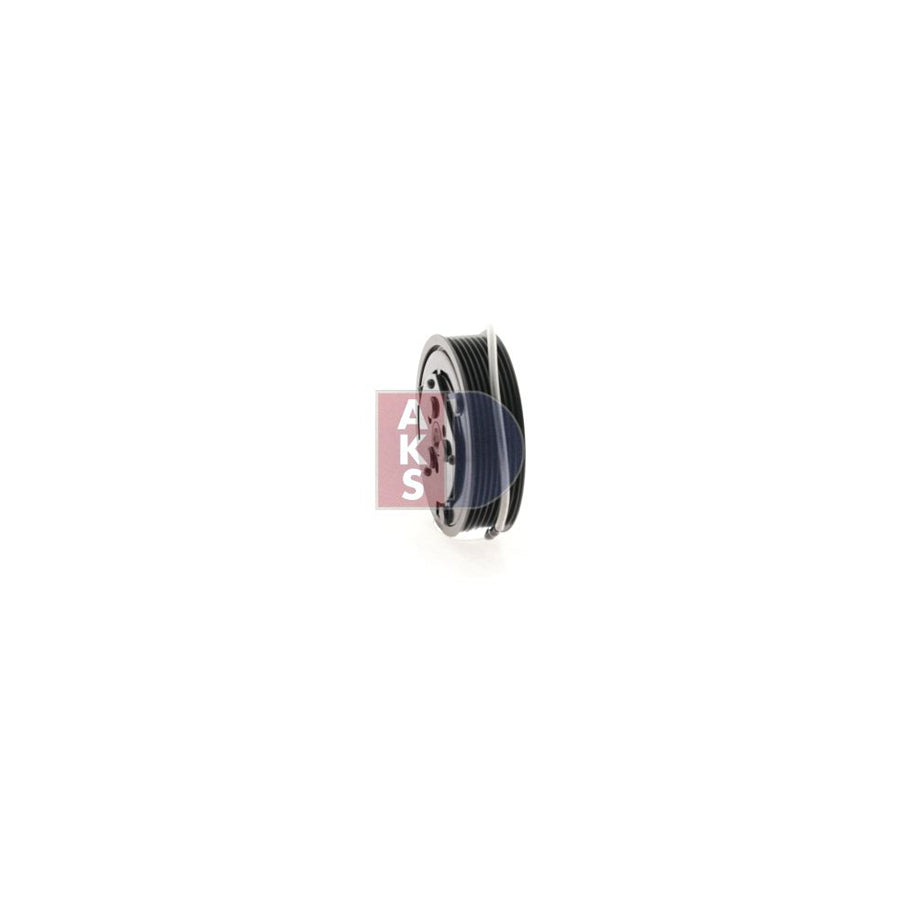 AKS Dasis 900713N Seal Ring