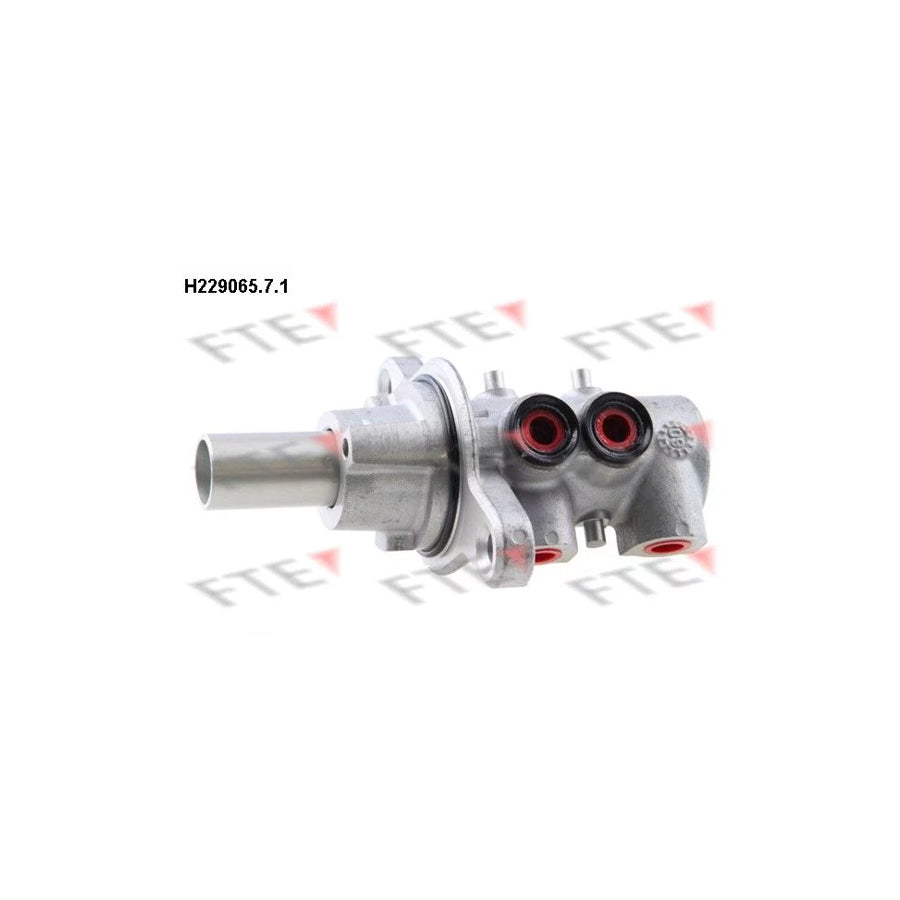 FTE 9220174 Brake Master Cylinder