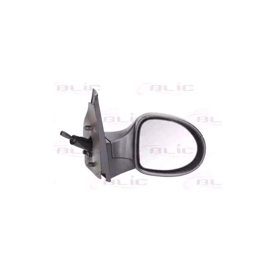 Blic 5402-09-2002208P Wing Mirror for Renault Symbol / Thalia II