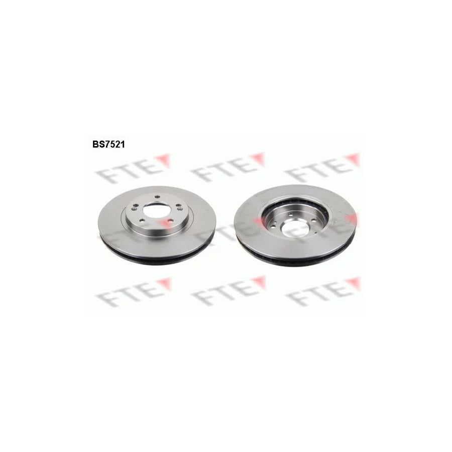 FTE 9072346 Brake Disc