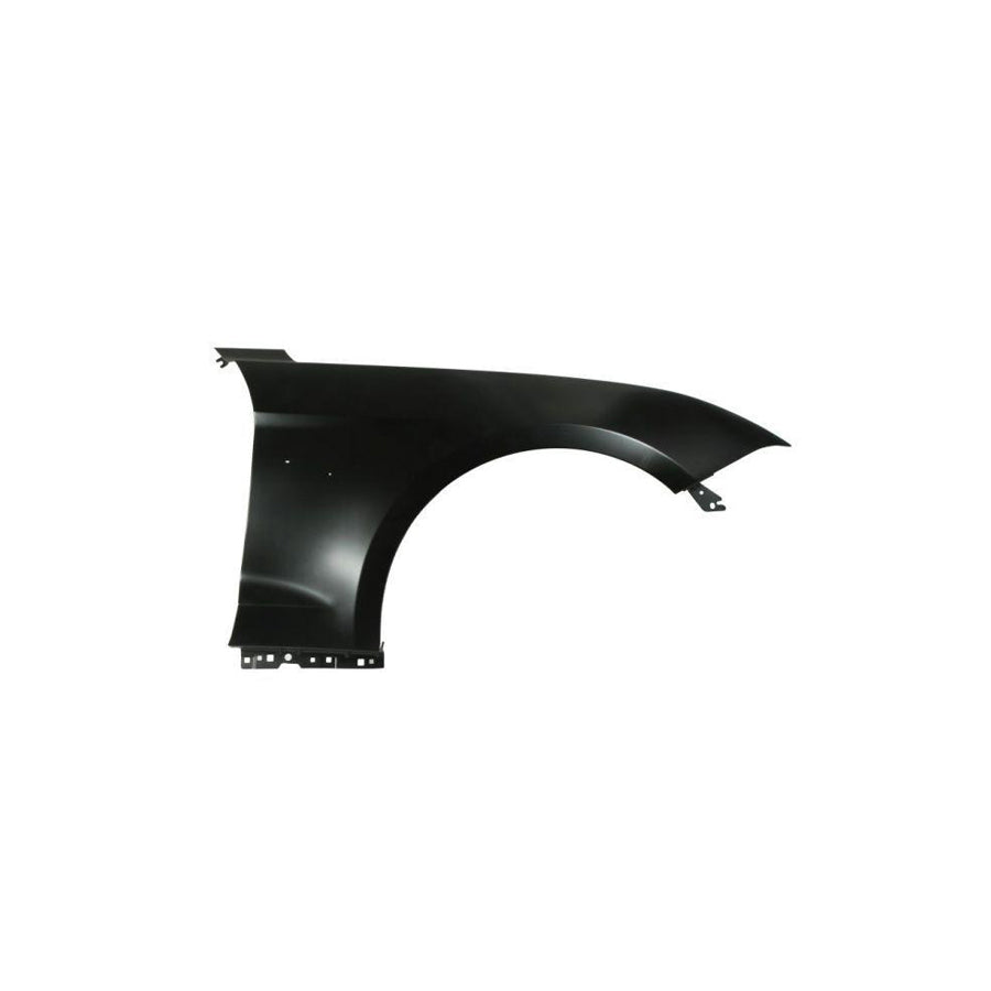Blic 6504-04-2589316P Wing Fender for Ford USA Mustang Mach-E