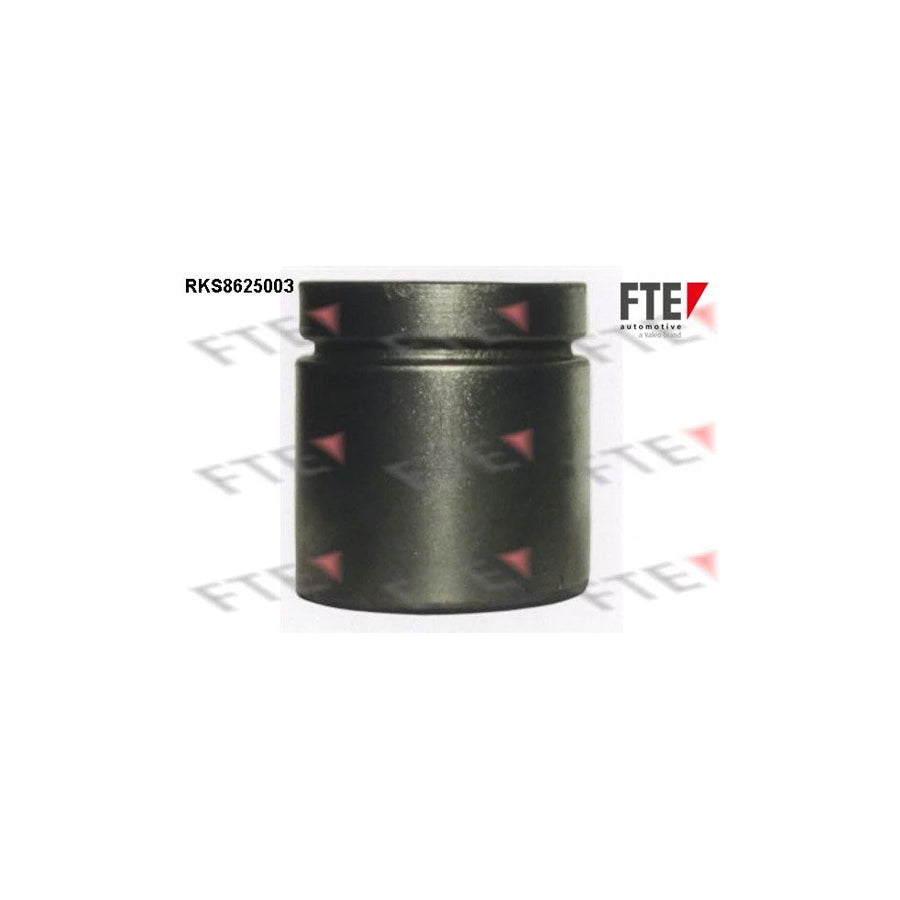 FTE Rks8625003 Piston, Brake Caliper