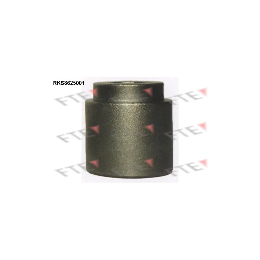 FTE Rks8625001 Piston, Brake Caliper for Ford Fiesta