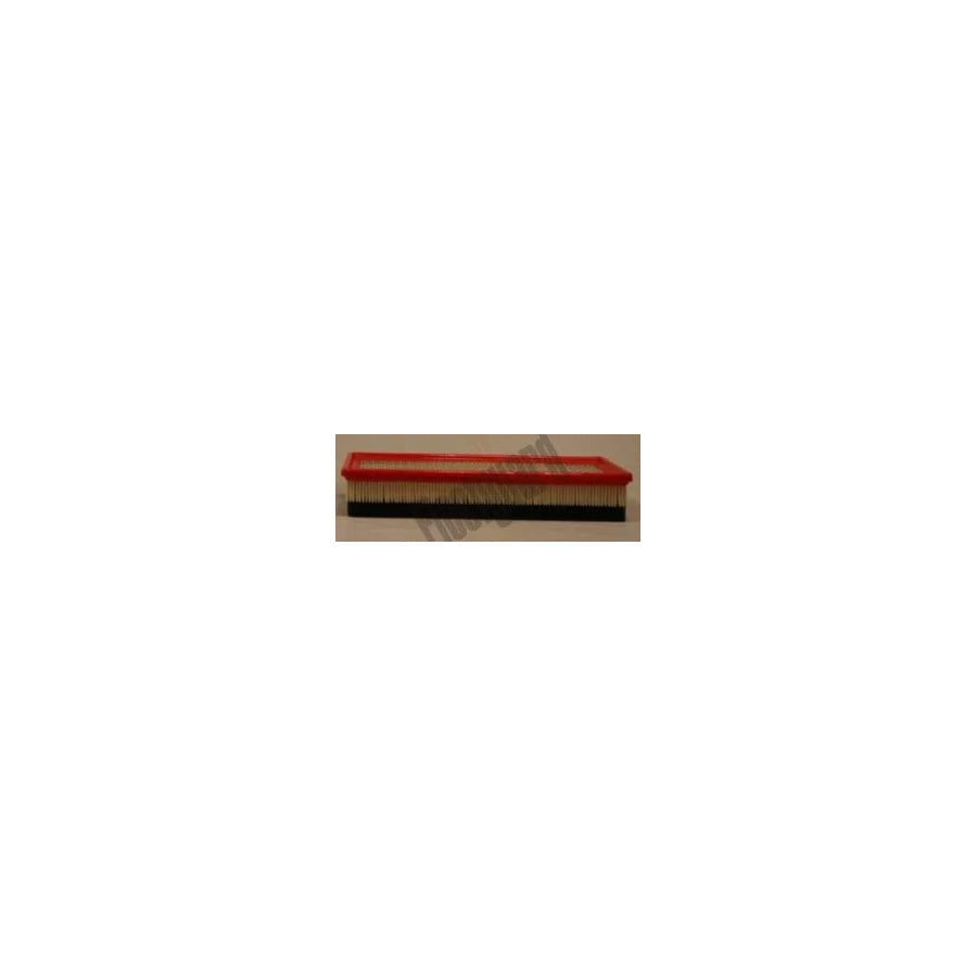 Fleetguard Af25621 Air Filter