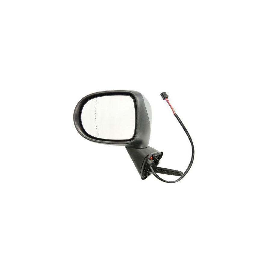 Blic 5402-09-2002203P Wing Mirror for Renault Modus / Grand Modus (F, Jp)