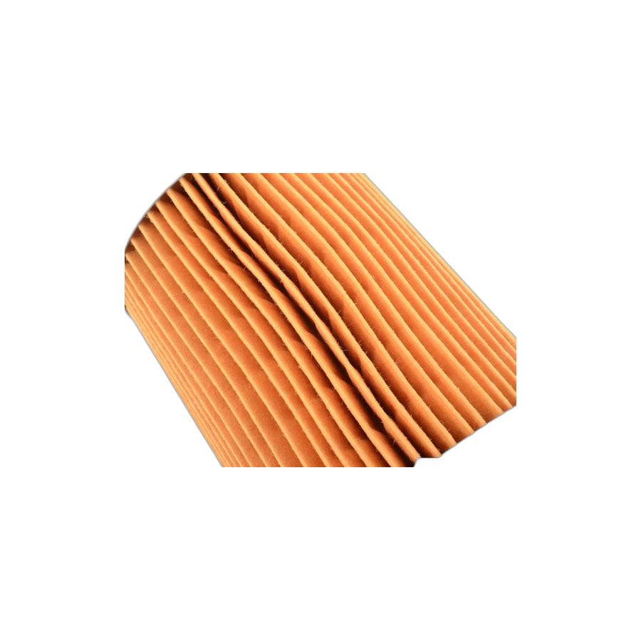 Genuine BMW 11421256714 E24 E23 E12 Oil Filter Insert (Inc. 2800, 528i & 735i)