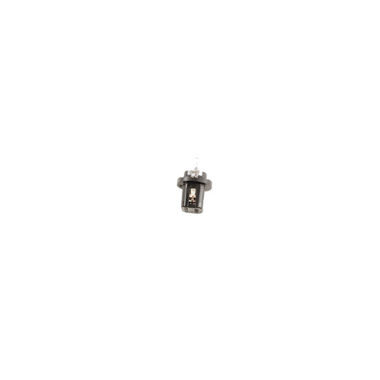 Genuine BMW 62111368299 E30 E32 E34 Bulb 1,2W (Inc. 325i, 518 & 540i)
