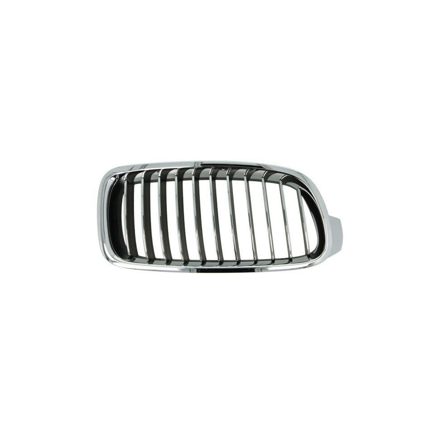 Blic 6502-07-0063998P Radiator Grille for BMW 3 Series