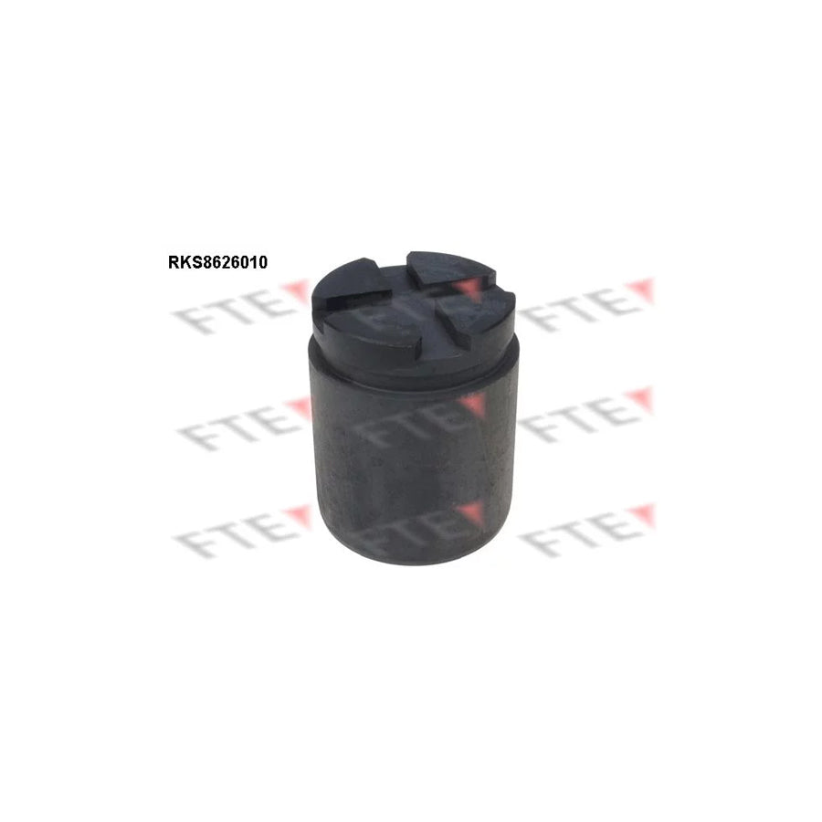 FTE Rks8626010 Piston, Brake Caliper