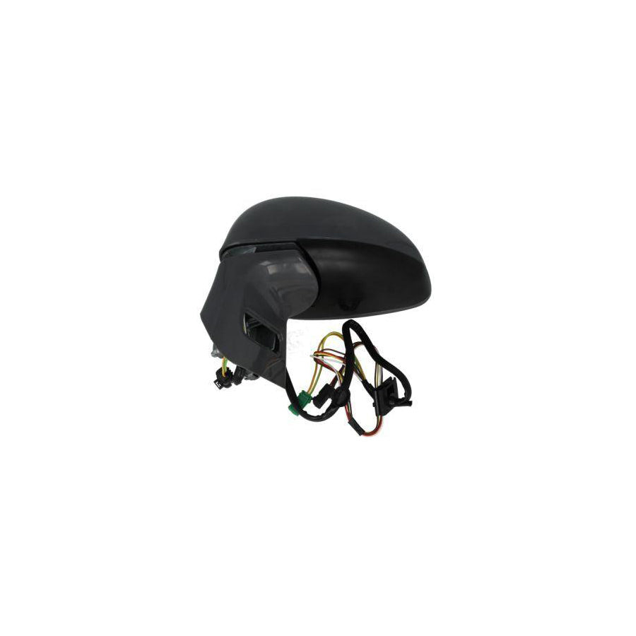 Blic 5402-04-1139853 Wing Mirror for Citroen C4