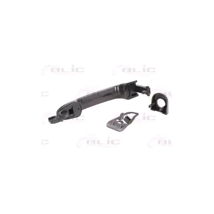 Blic 6010-03-048401P Door Handle for Ford Ka Hatchback (Ru8)