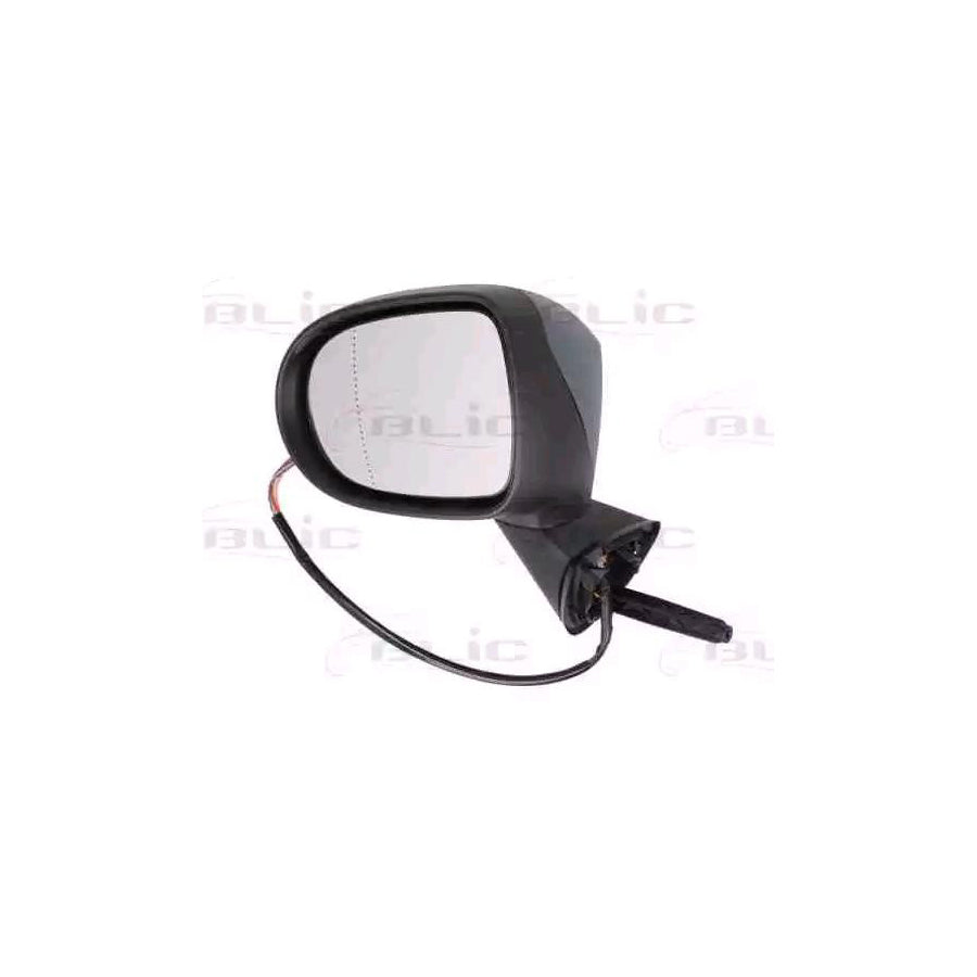 Blic 5402-09-2002201P Wing Mirror for Renault Modus / Grand Modus (F, Jp)