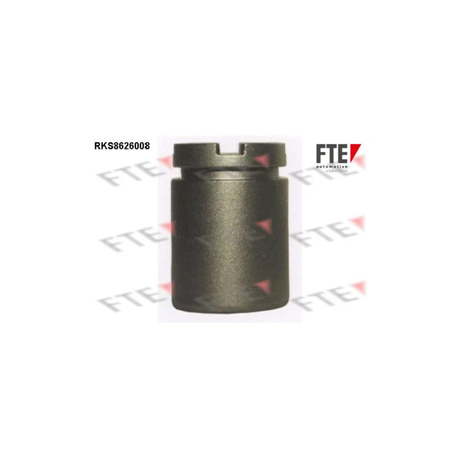FTE Rks8626008 Piston, Brake Caliper