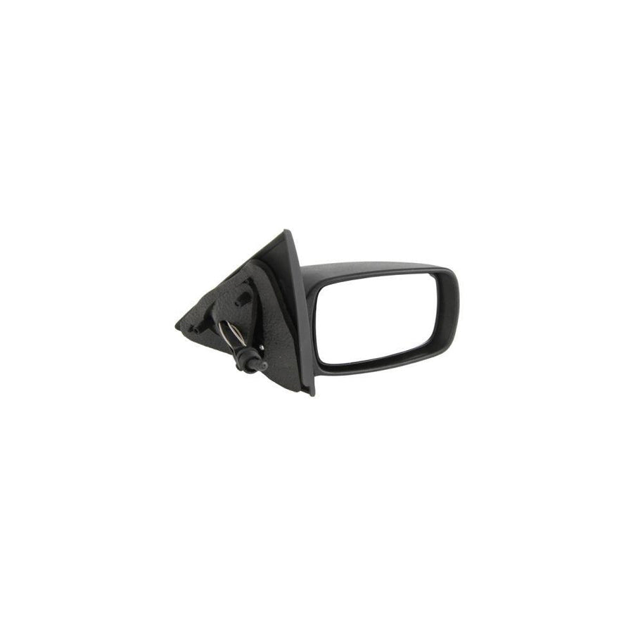 Blic 5402-04-1115398P Wing Mirror for Ford Escort
