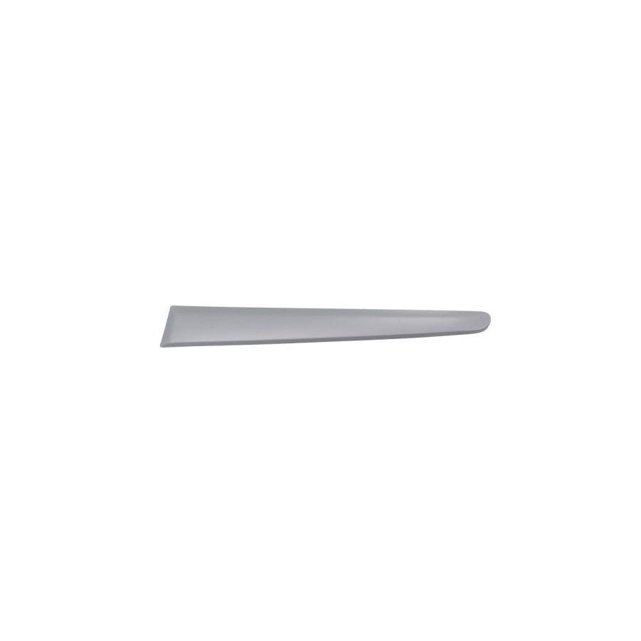 Blic 5703-04-2027478P Trim / Protective Strip, Mudguard for Fiat Stilo