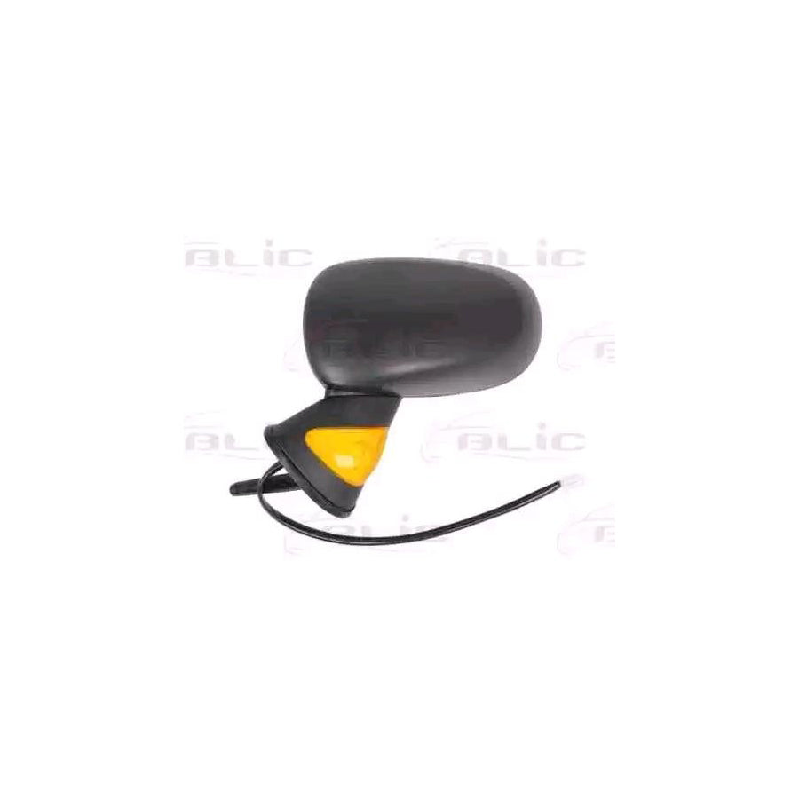 Blic 5402-09-2002197P Wing Mirror for Renault Modus / Grand Modus (F, Jp)