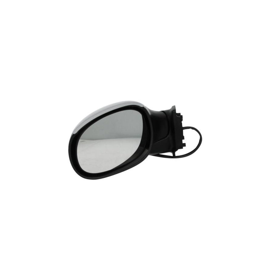 Blic 5402-04-1139851 Wing Mirror for Citroen C3 I Hatchback (Fc, Fn)
