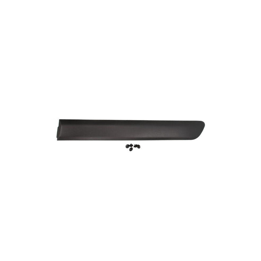 Blic 5703-04-2042573Pp Door Molding for Fiat Doblo