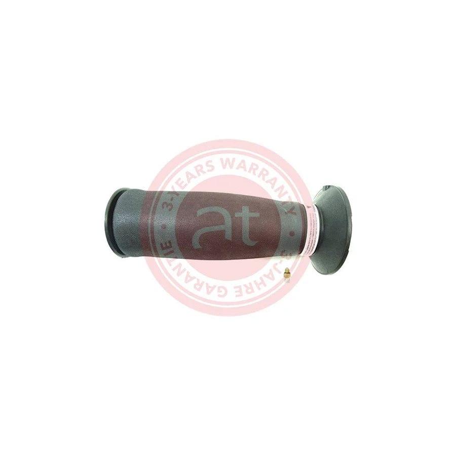 at autoteile germany At10276 Air Spring, Suspension for BMW 5 Touring (E61)