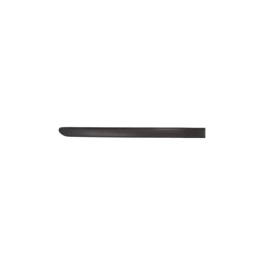 Blic 5703-04-2042573P Door Molding for Fiat Doblo
