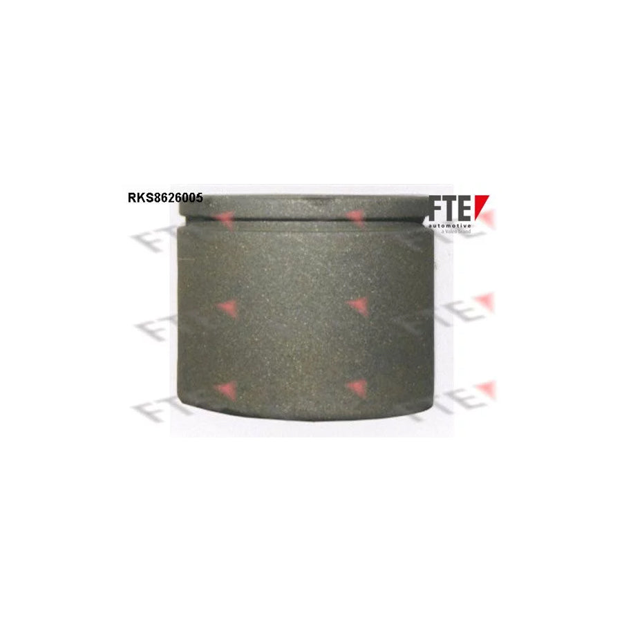 FTE Rks8626005 Piston, Brake Caliper