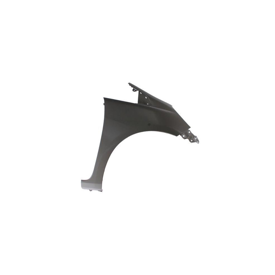 Blic 6504-04-2901314P Wing Fender for Honda Jazz Hatchback (Ge, Gg, Gp, Za)