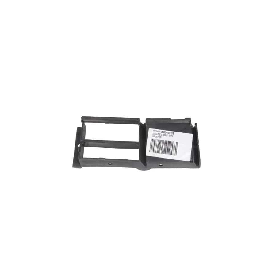 Blic 6502-07-00659958P Bumper Grill for BMW 5 Series
