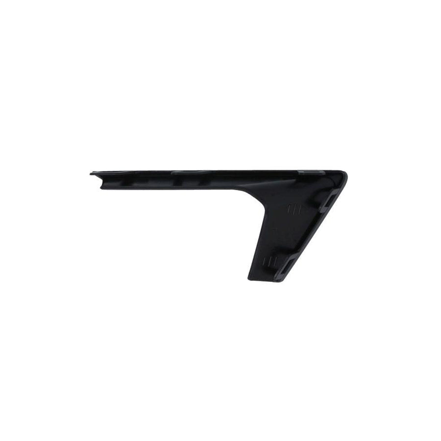 Blic 6502-08-2998200P Front Cowling for Citroen C4