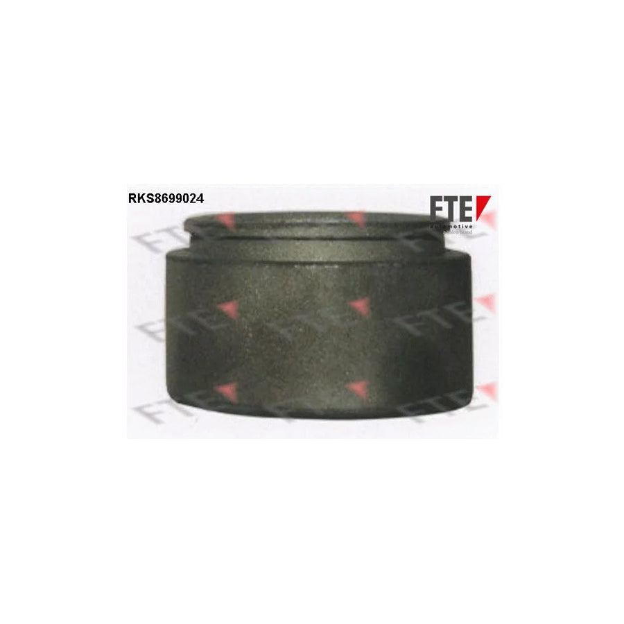 FTE 9313488 Piston, Brake Caliper