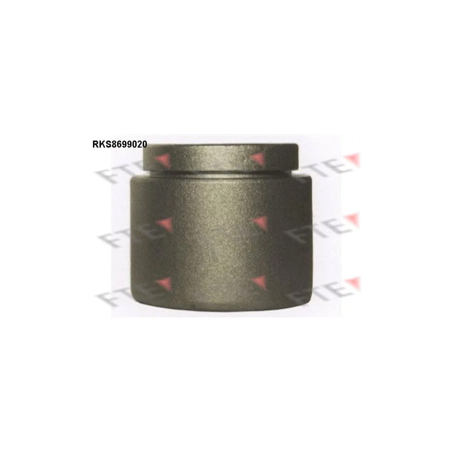 FTE 9313486 Piston, Brake Caliper