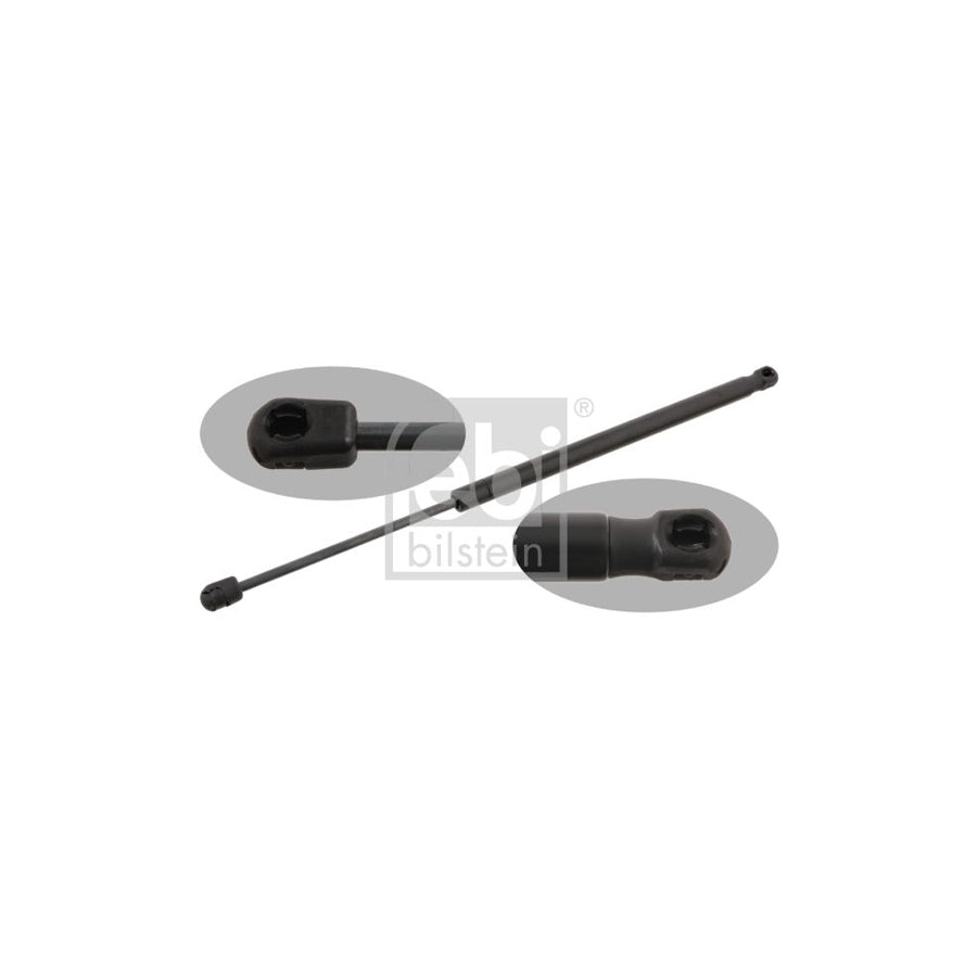 Febi Bilstein 27919 Tailgate Strut