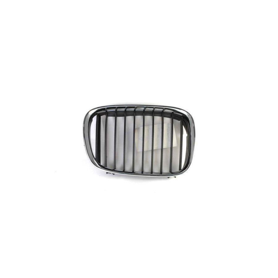 Blic 6502-07-0065992P Radiator Grille for BMW 5 Series