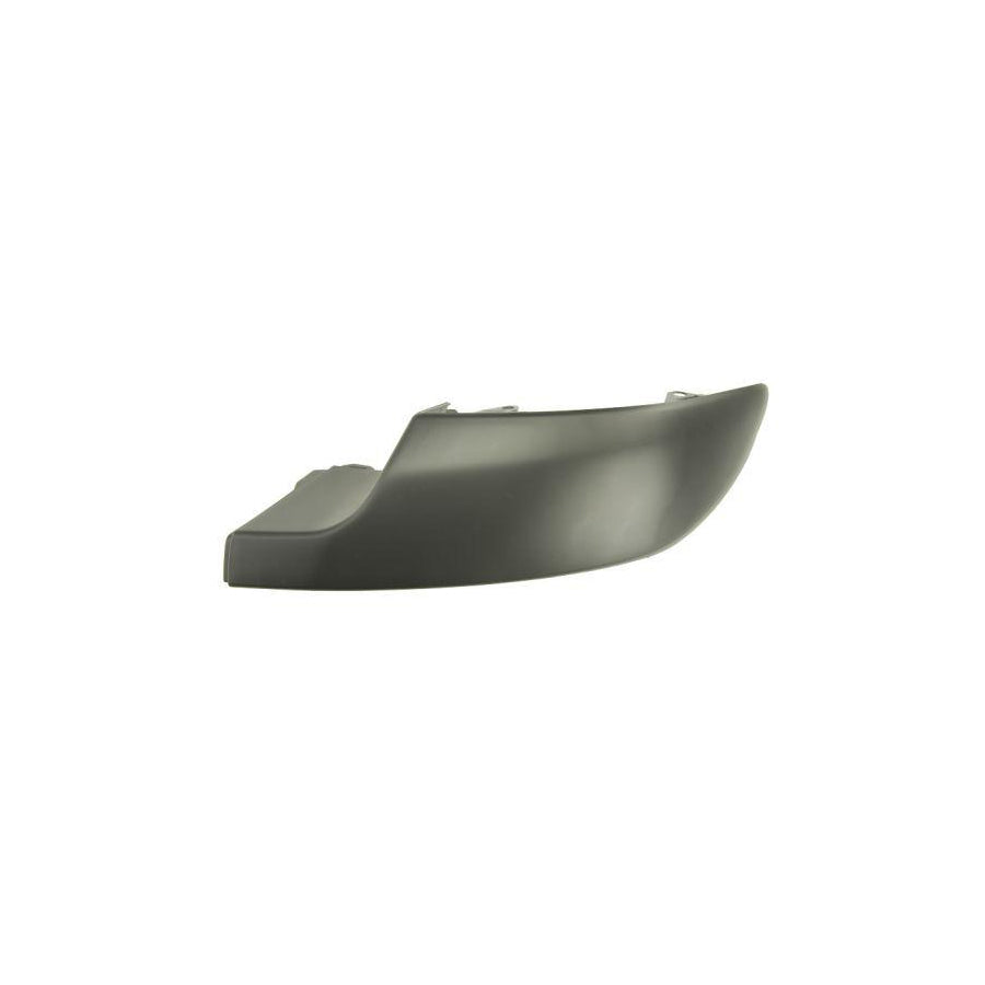 Blic 5703-05-5519976P Bumper Moulding for Peugeot 308