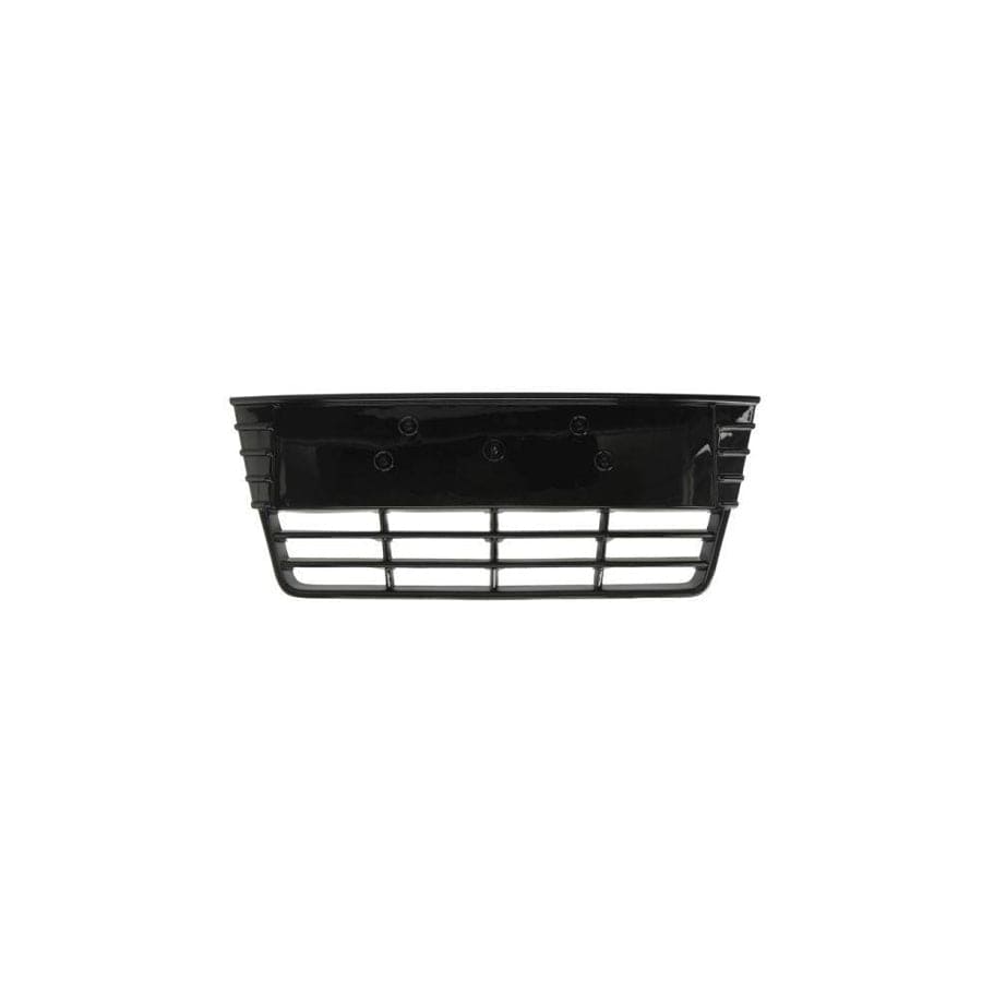 Blic 6502-07-2536995Pp Bumper Grill for Ford Focus