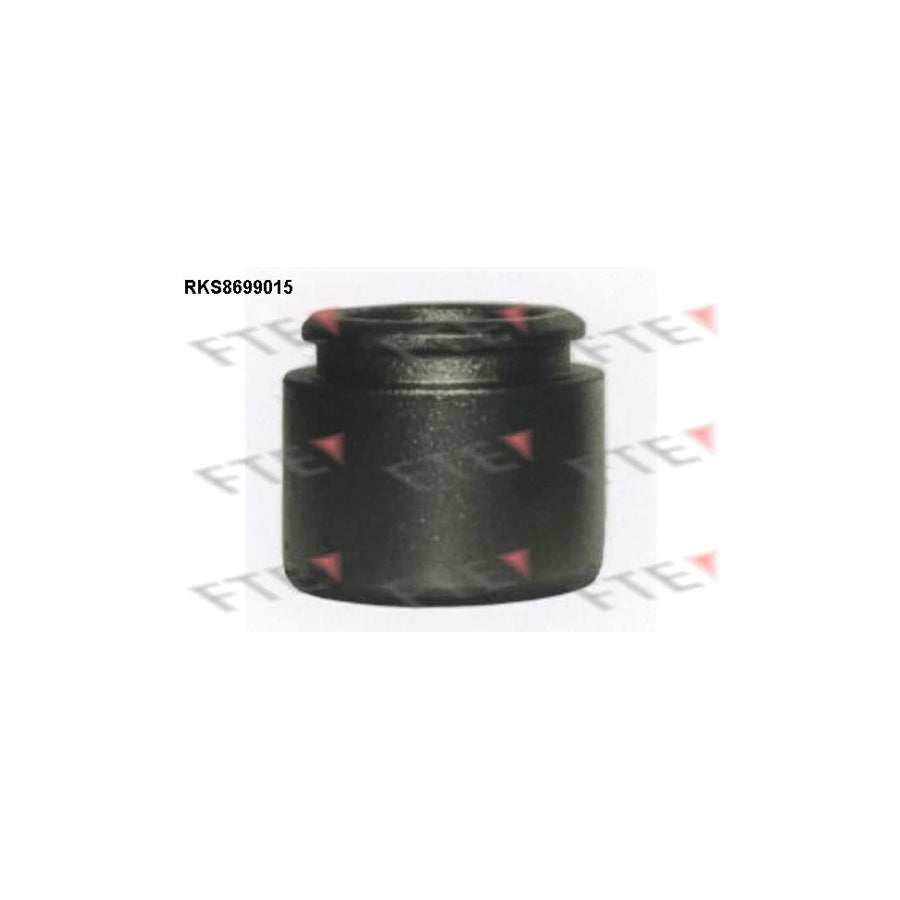 FTE 9313483 Piston, Brake Caliper