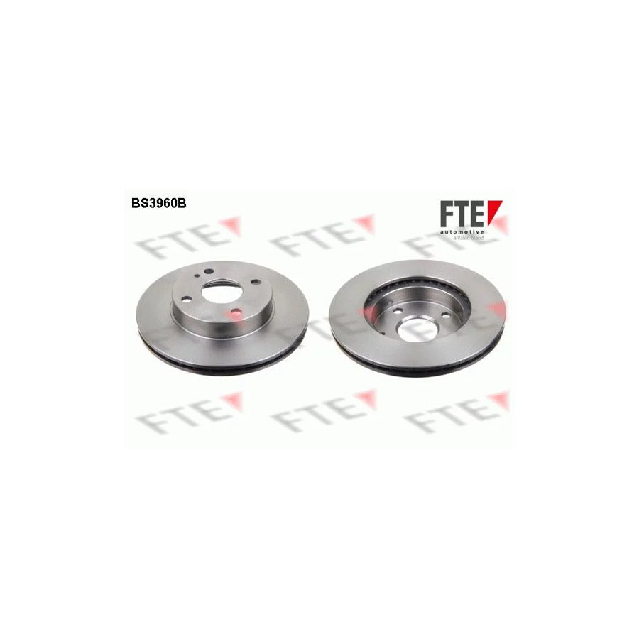 FTE Bs3960B Brake Disc