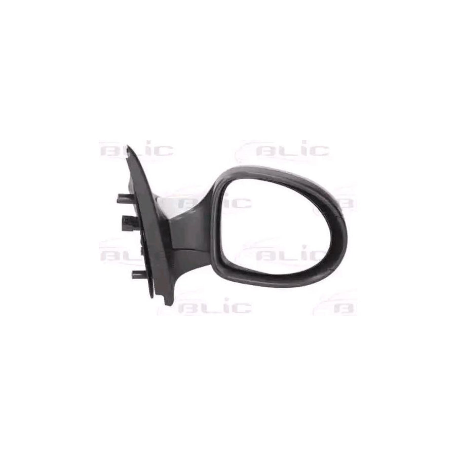 Blic 5402-09-2002226P Wing Mirror for Renault Twingo