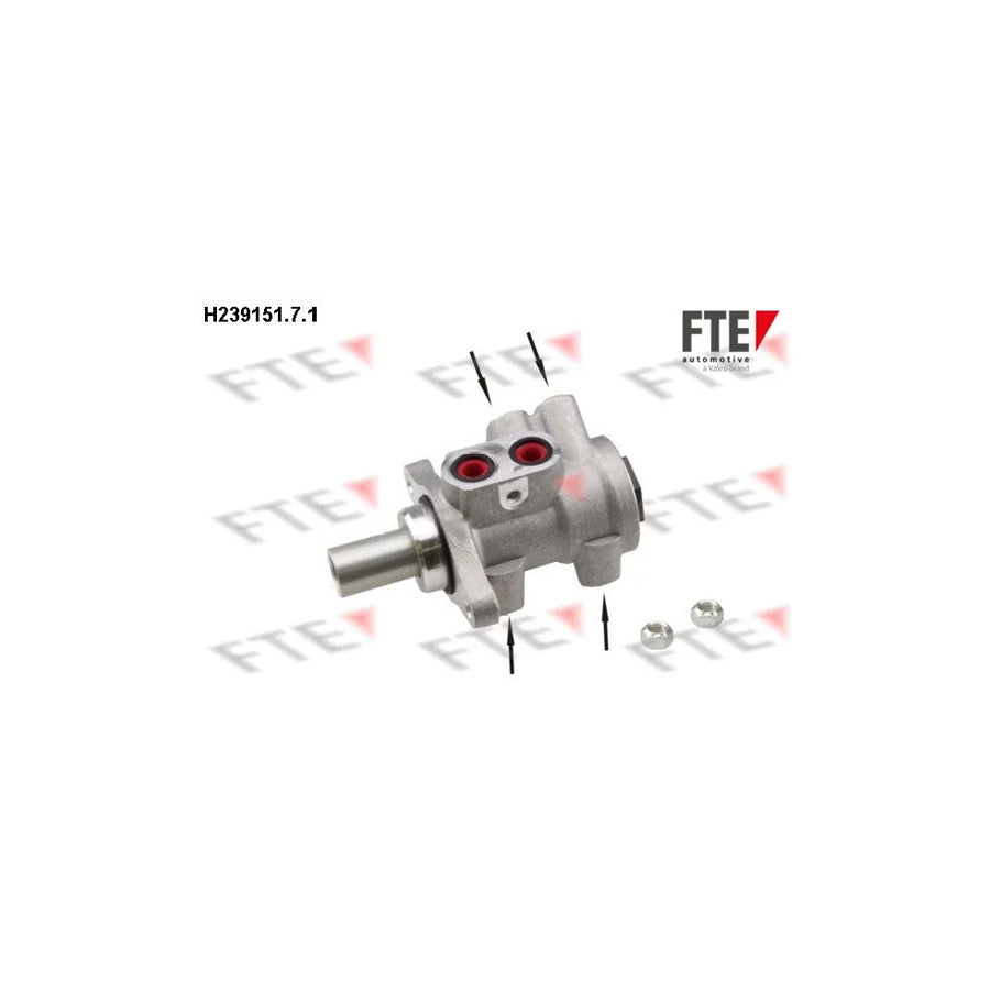 FTE H239151.7.1 Brake Master Cylinder