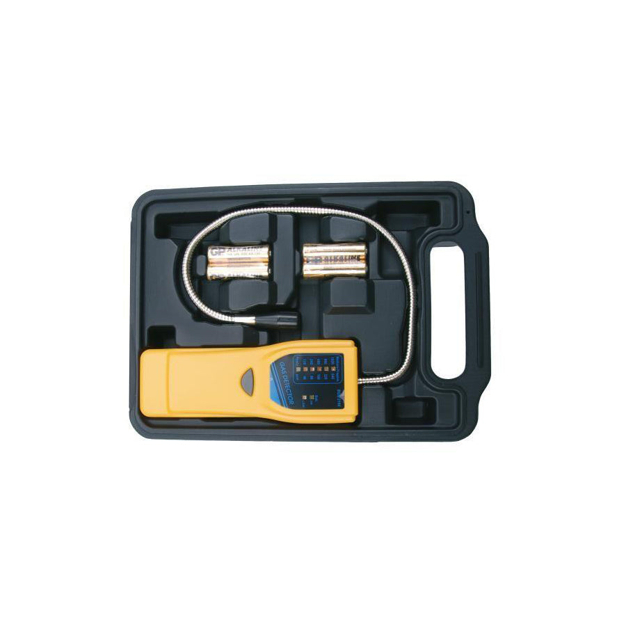 BGS 2198 Gas Warning Unit