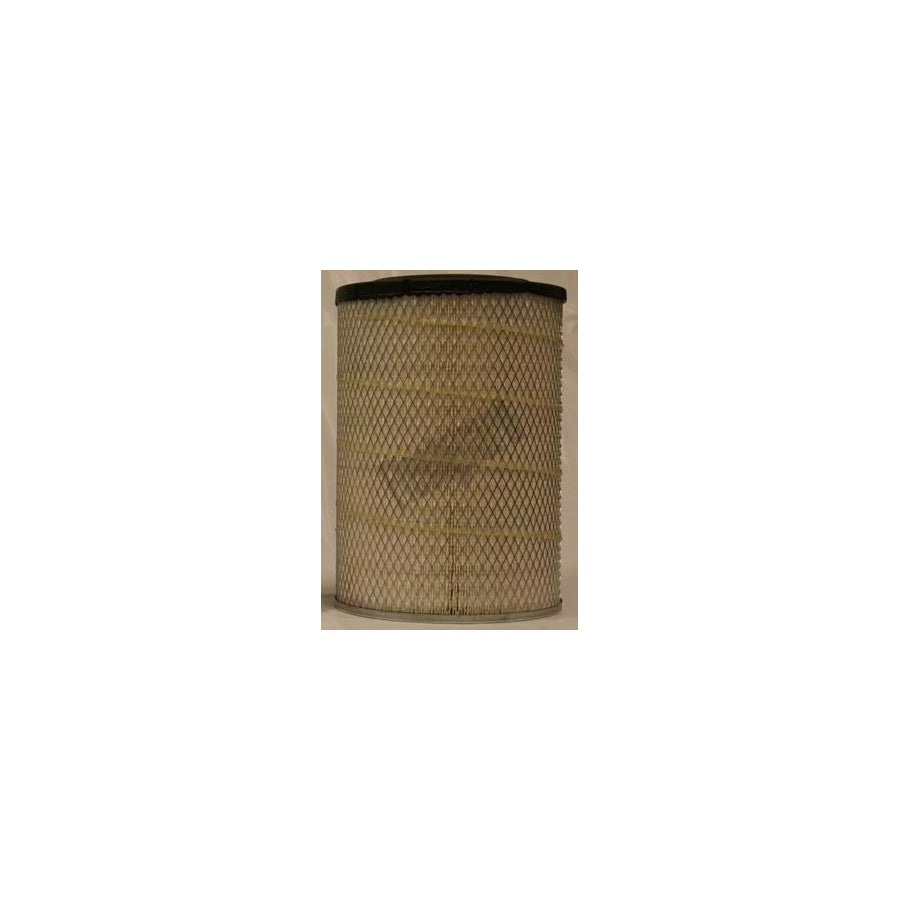 Fleetguard Af25598 Air Filter