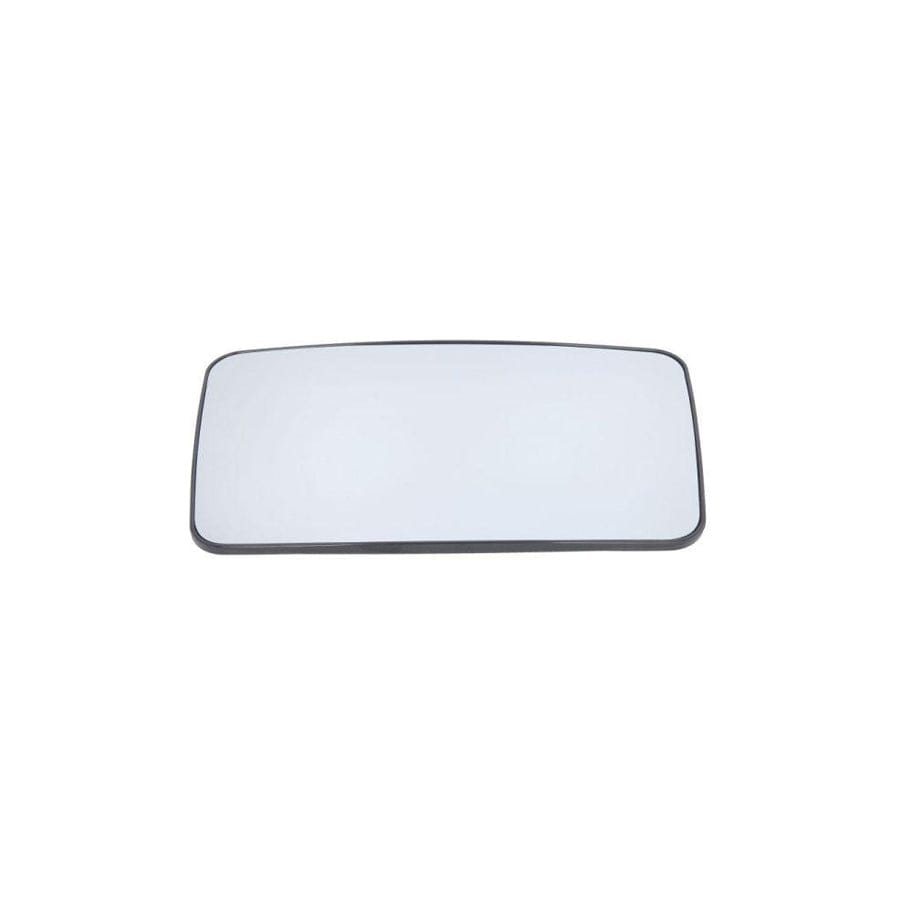 Blic 6502-07-4003911P Bumper Grill for Mini CountryMAN (R60)
