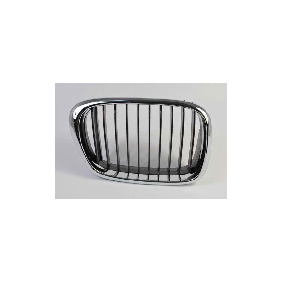 Blic 6502-07-00659912P Radiator Grille for BMW 5 Series
