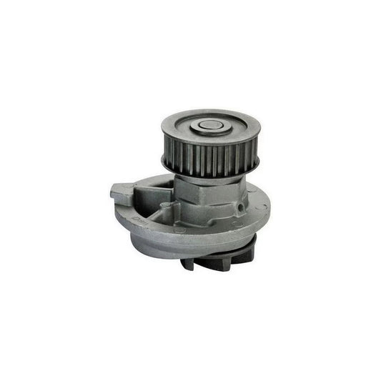 Denckermann A310019 Water Pump