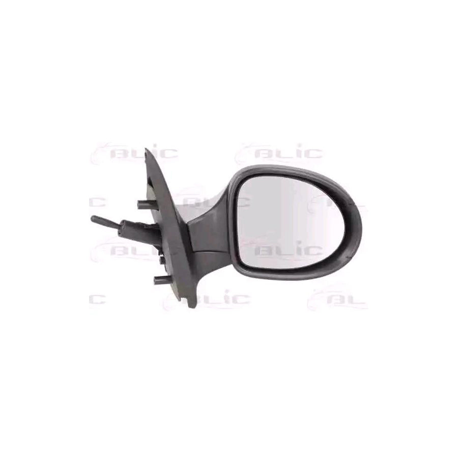 Blic 5402-09-2002222P Wing Mirror for Renault Twingo