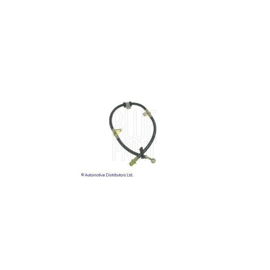 Blue Print Adh25338 Brake Hose