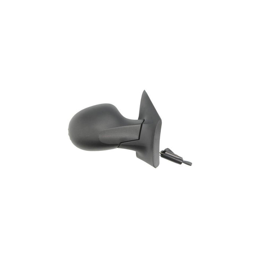 Blic 5402-09-2002220P Wing Mirror for Renault Twingo